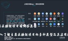 主要区块链项目有哪些类型 深入了解主要区块链