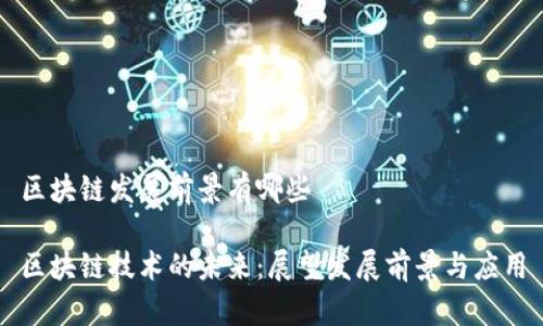 区块链发展前景有哪些

区块链技术的未来：展望发展前景与应用