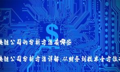区块链公司的分析方法有哪些区块链公司分析方