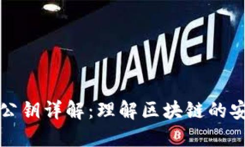 TP钱包公钥详解：理解区块链的安全核心