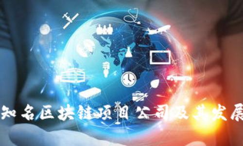 国外知名区块链项目公司及其发展分析