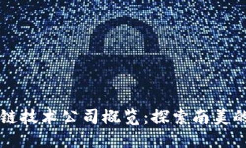 智利区块链技术公司概览：探索南美的数字创新