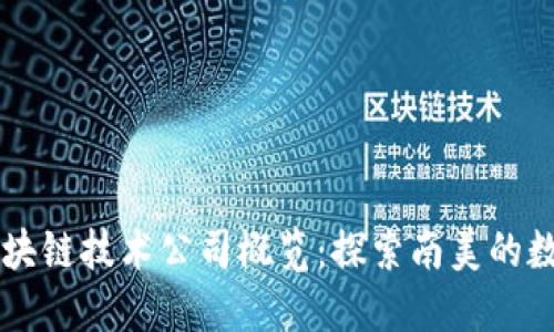 智利区块链技术公司概览：探索南美的数字创新
